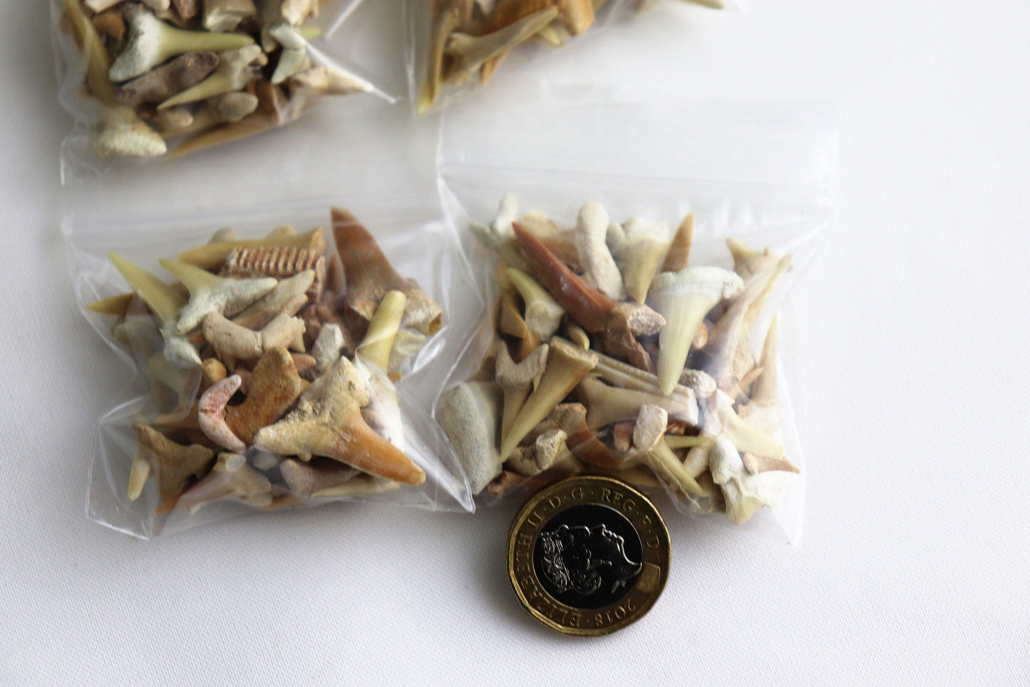 unique kids party bag gift sharks tooth