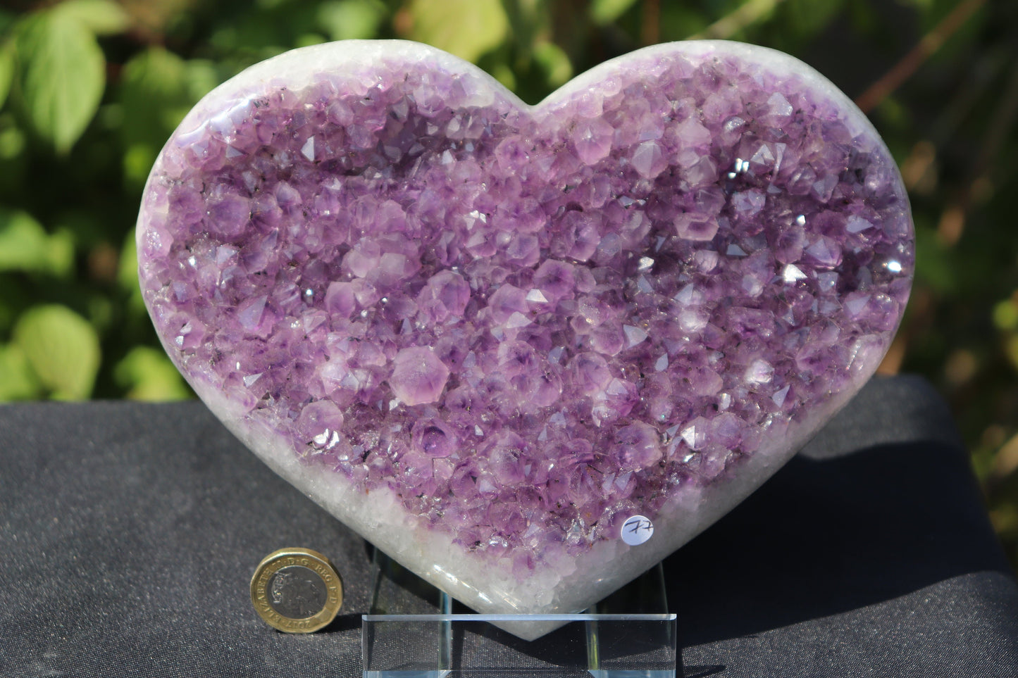 Extra Large Plastic Crystal / Mineral Display Stands X1