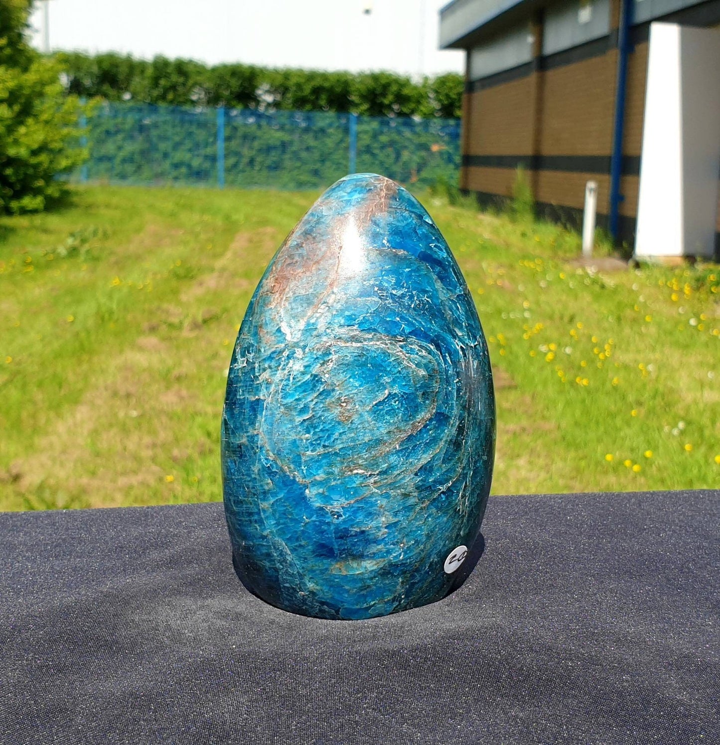 20) Apatite Crystal Freeform