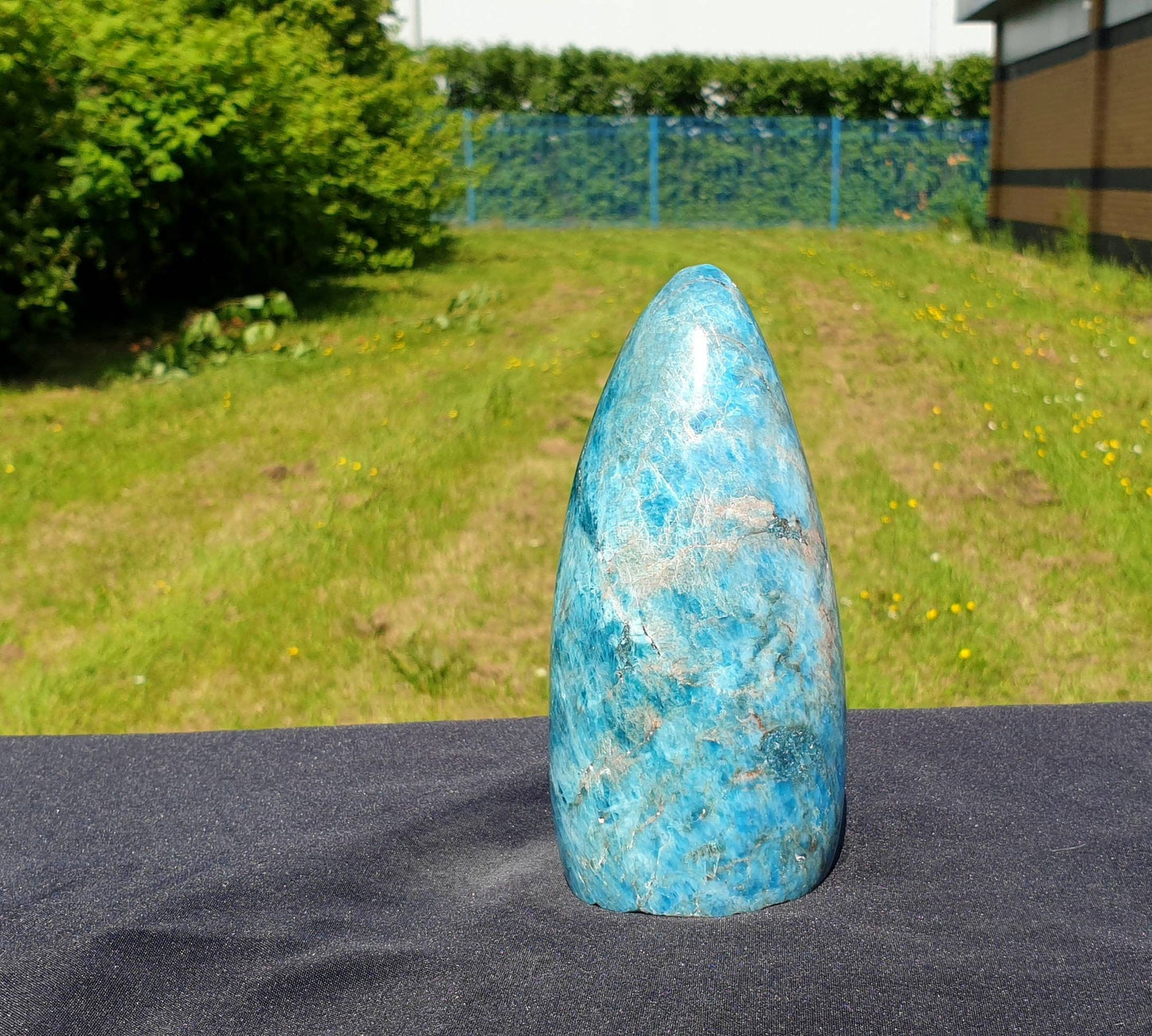 5) Apatite Crystal Freeform