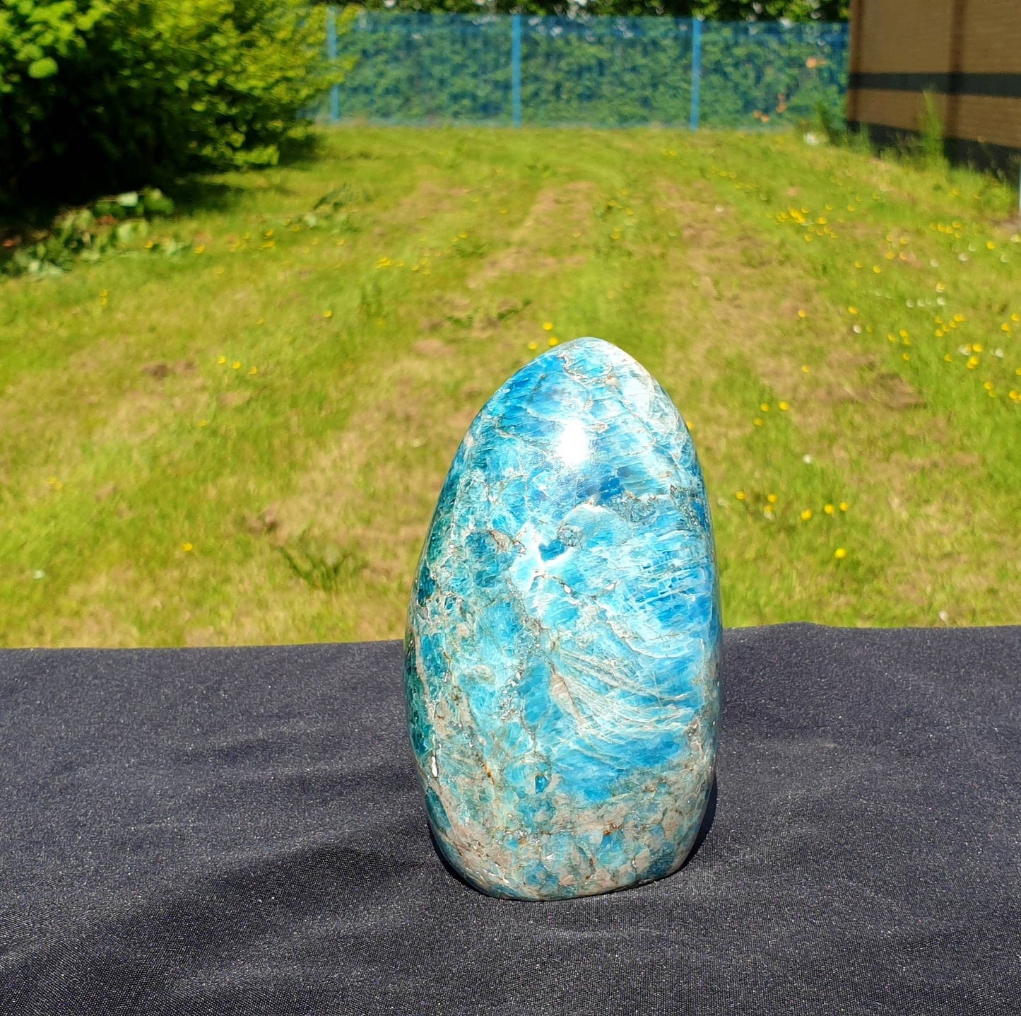 1) Apatite Crystal Freeform