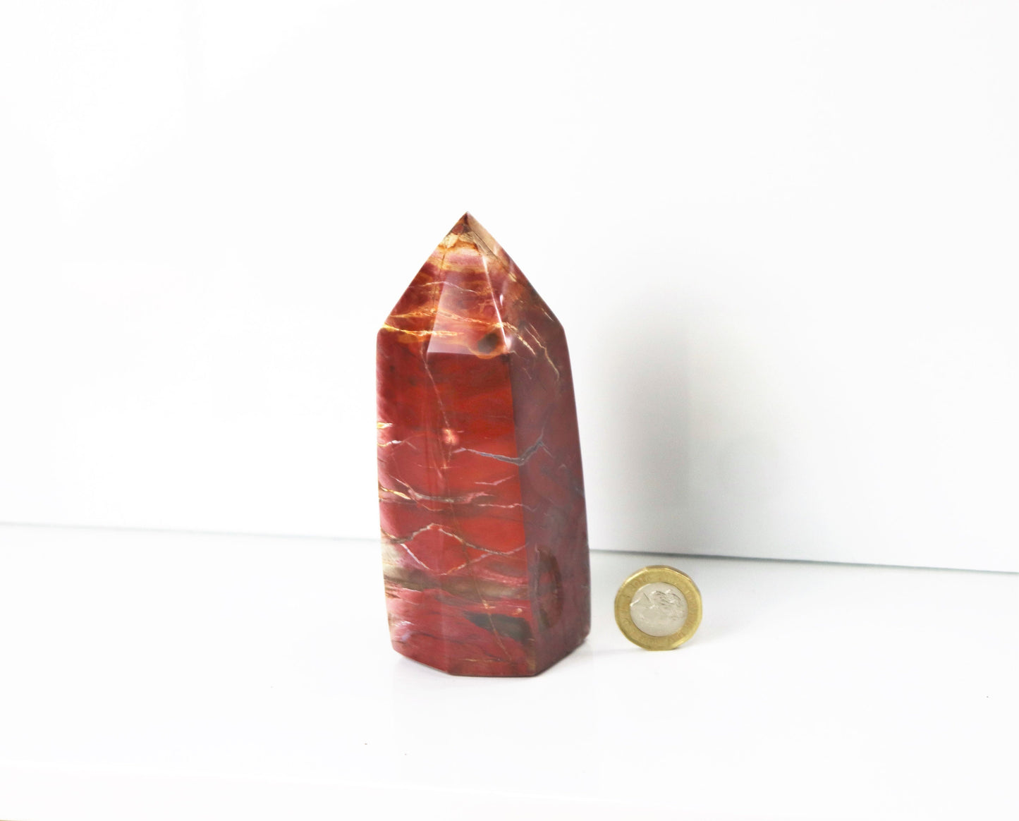 10) Fossil Wood Prism - Petrified Wood - Madagascar