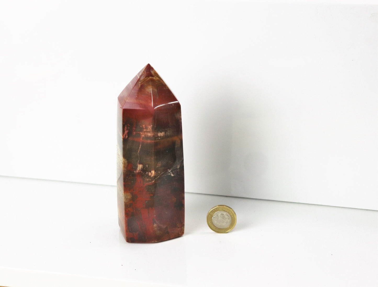 8) Fossil Wood Prism - Petrified Wood - Madagascar