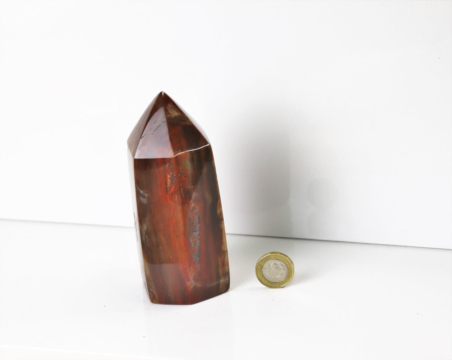 2) Fossil Wood Prism - Petrified Wood - Madagascar