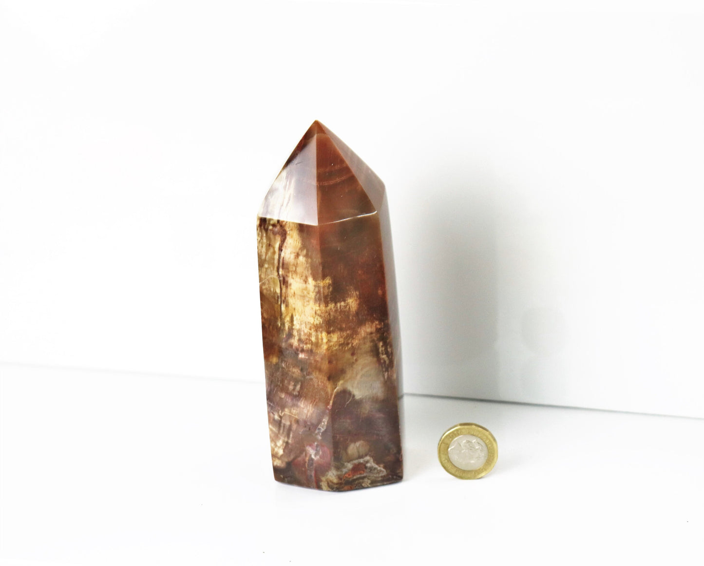 3) Fossil Wood Prism - Petrified Wood - Madagascar