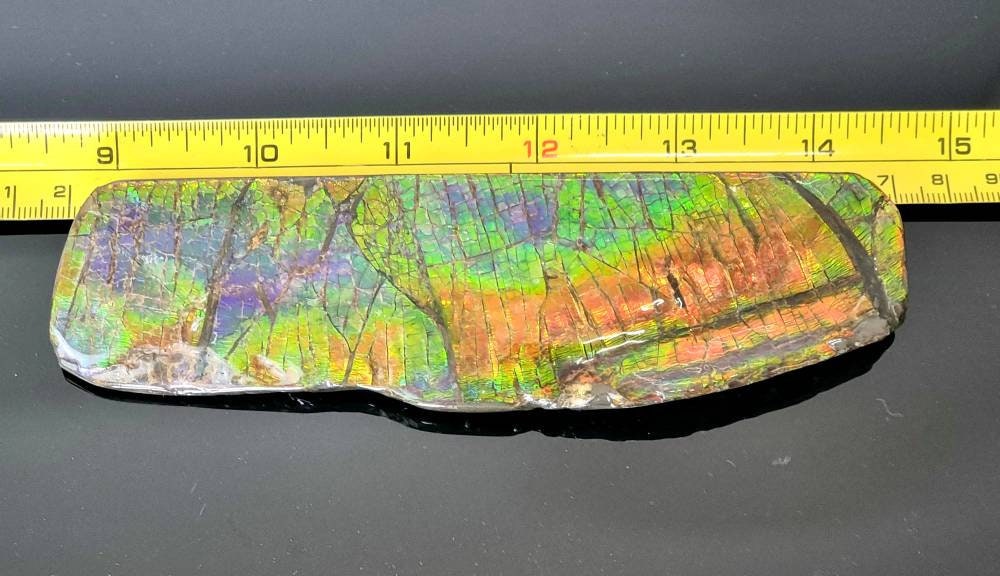 4ap) Large Ammolite Crystal Generation Gemstone Seven Colour Prosperity Stone