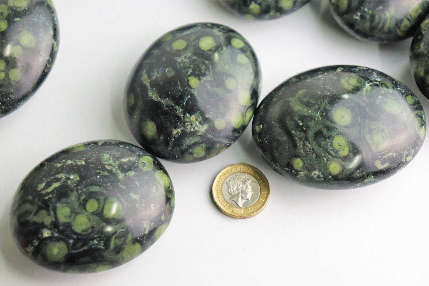 Large Kambaba Crocodile Jasper Crystal Palmstone - Gallet Madagascar