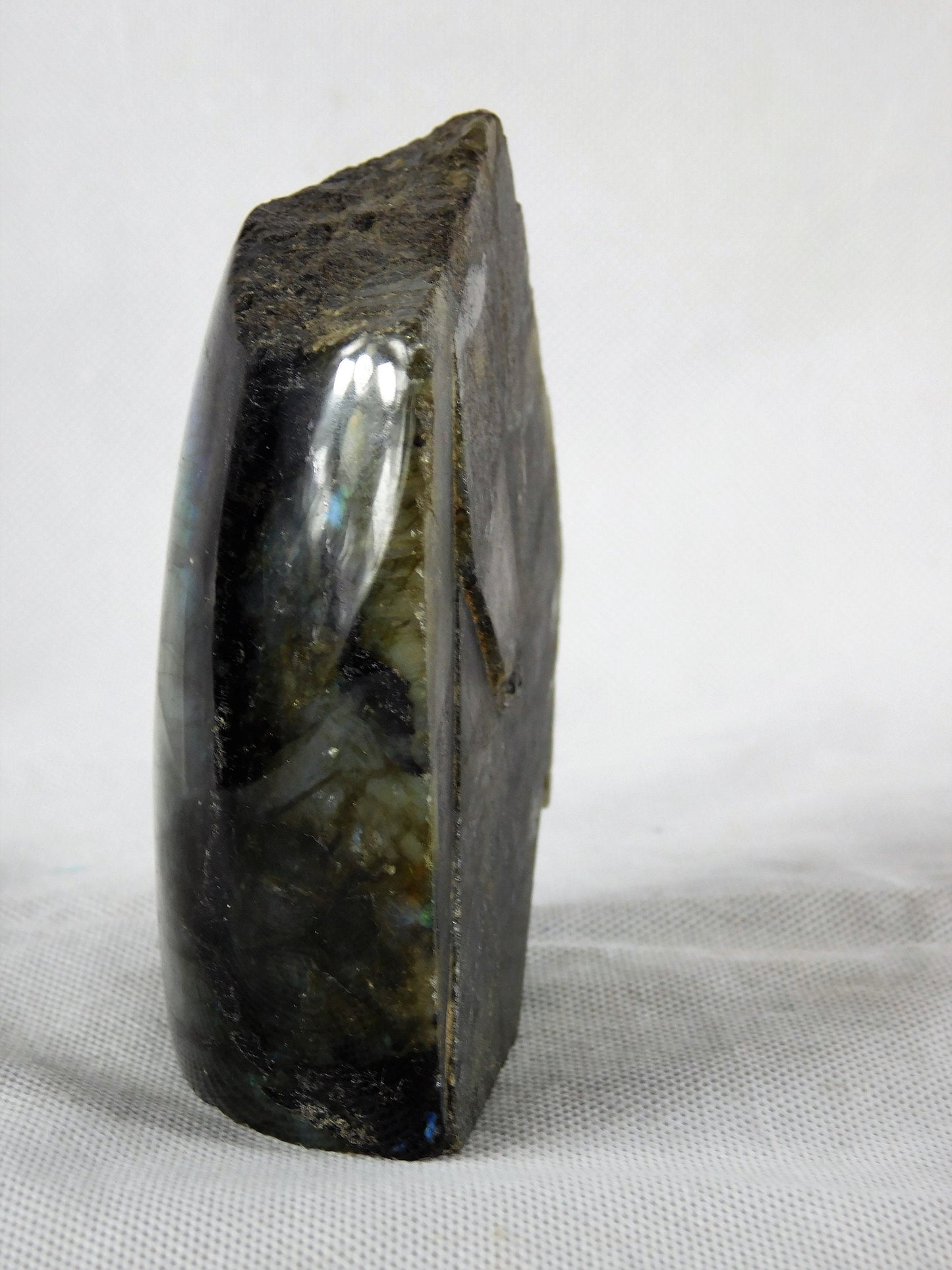5) Large Labradorite Crystal Mineral Madagascar Great Gift Freestanding - Half Polished + Raw