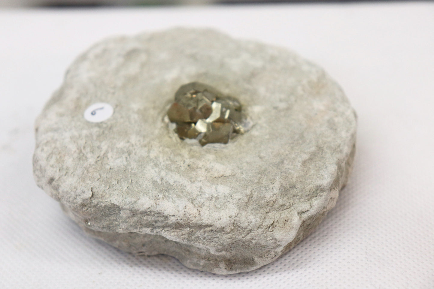 6PYB10) Pyrite cube Specimen In Original Matrix From Spain