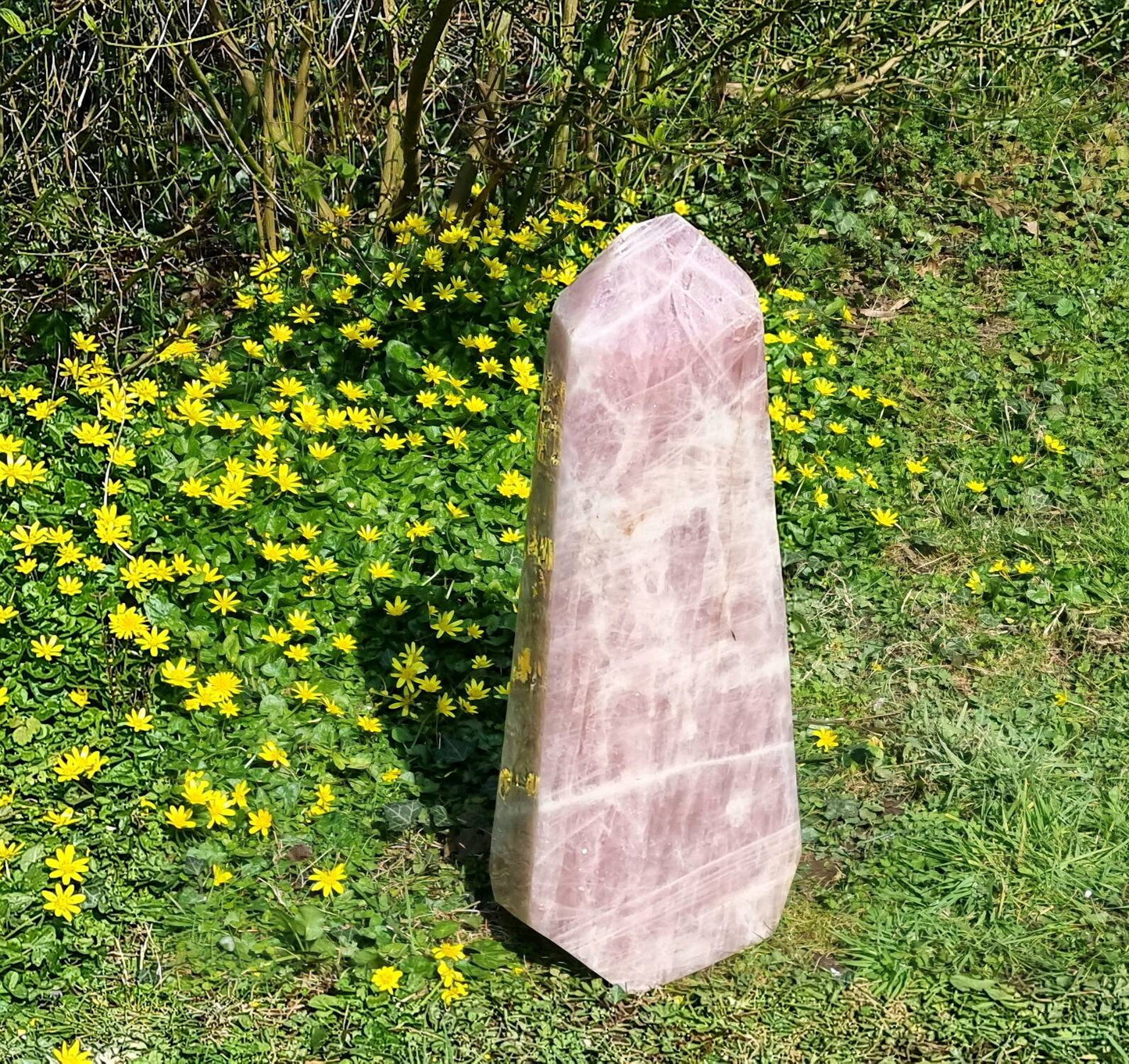 Extra Large High Quality Rose Quartz Crystal Prism 38 KG Statement Crystal Interior Design