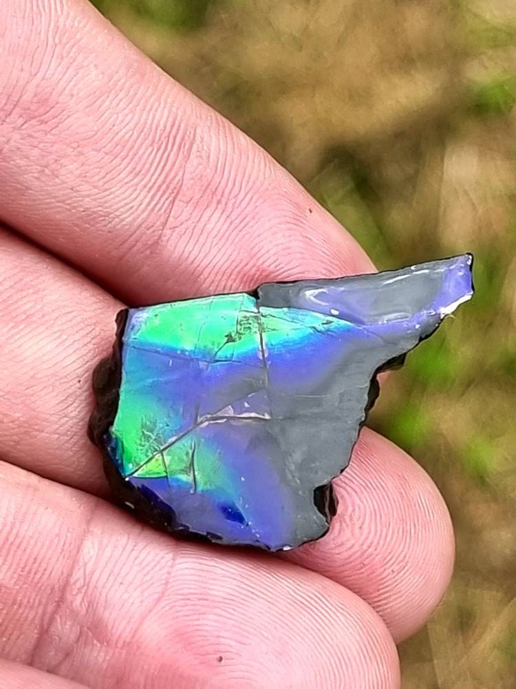 73) Ammolite Crystal Gemstone