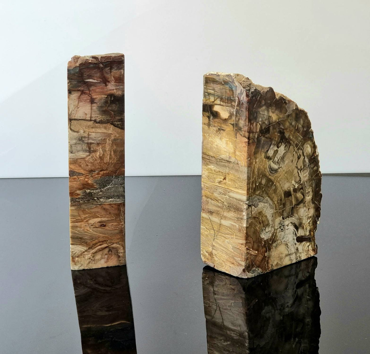 high quality petrifiedl wood bookends
