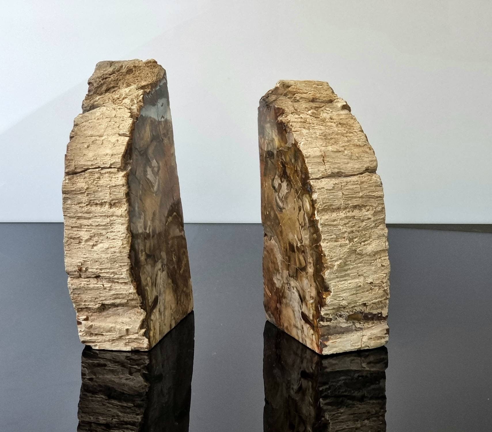 petrified wood interior design decor
