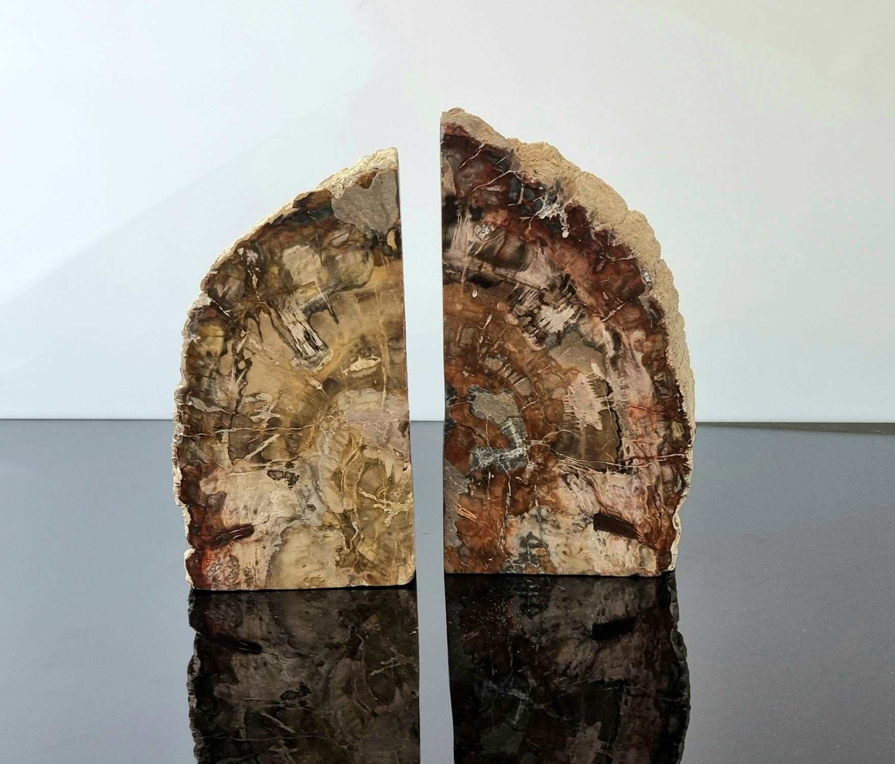 large petrified wood bookends