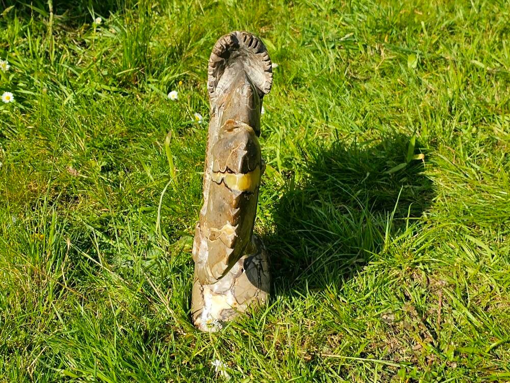 Large Septarian Ammonite Crystal Carving Lizard