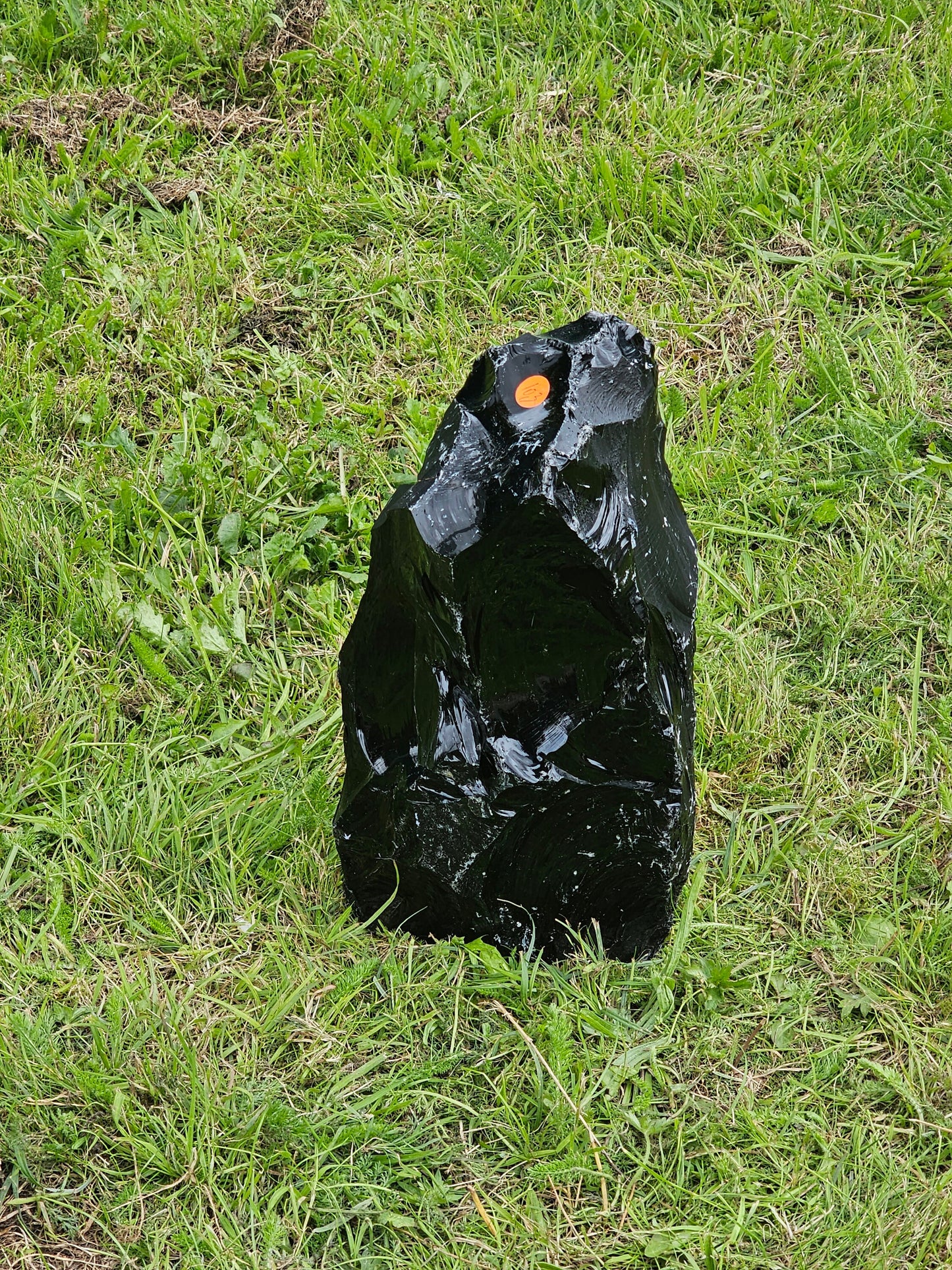 Natural Obsidian Crystal Freeform 10.3 KG