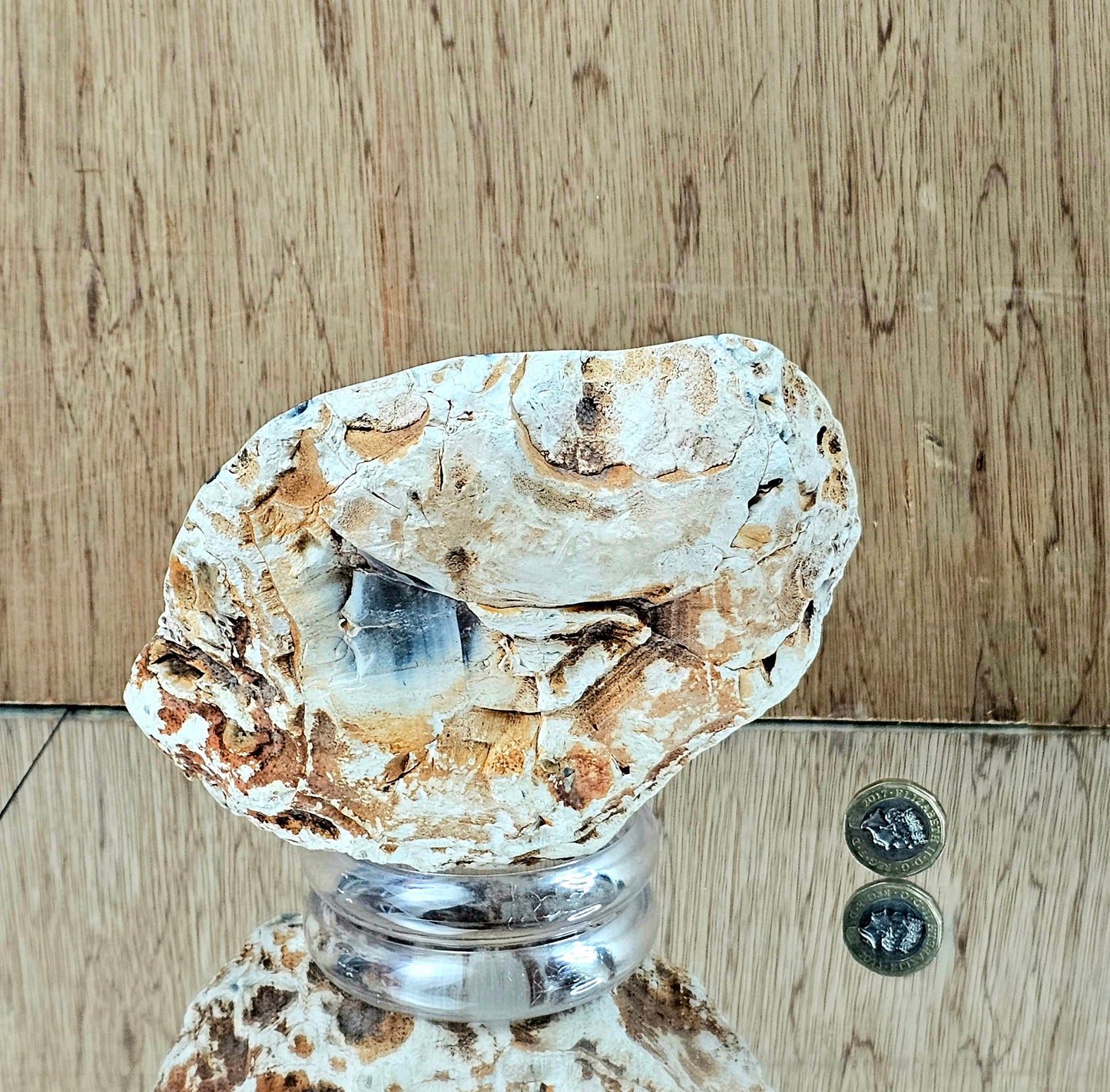 Orca Agate Crystal (#1)