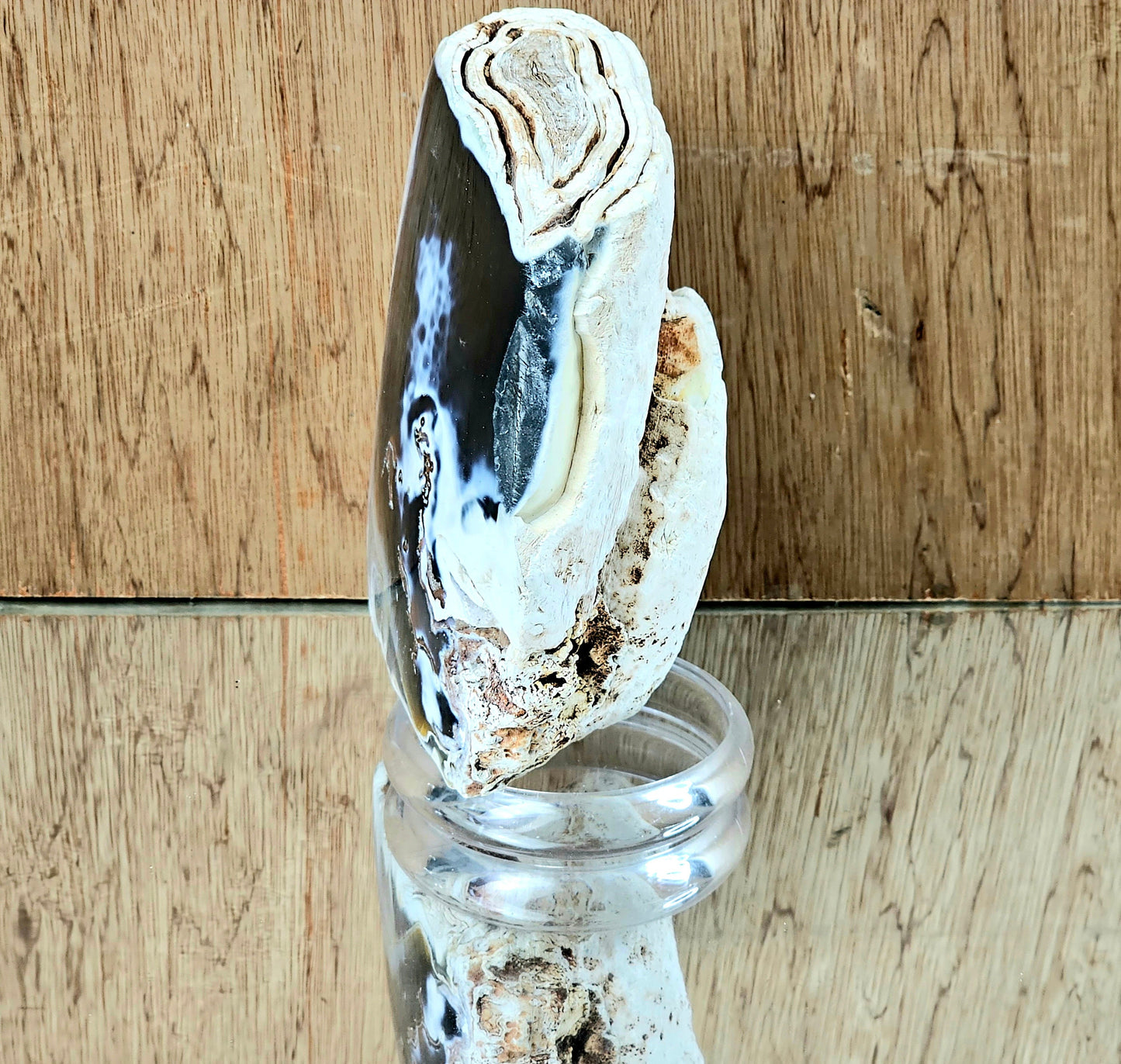 Orca Agate Crystal (#2)