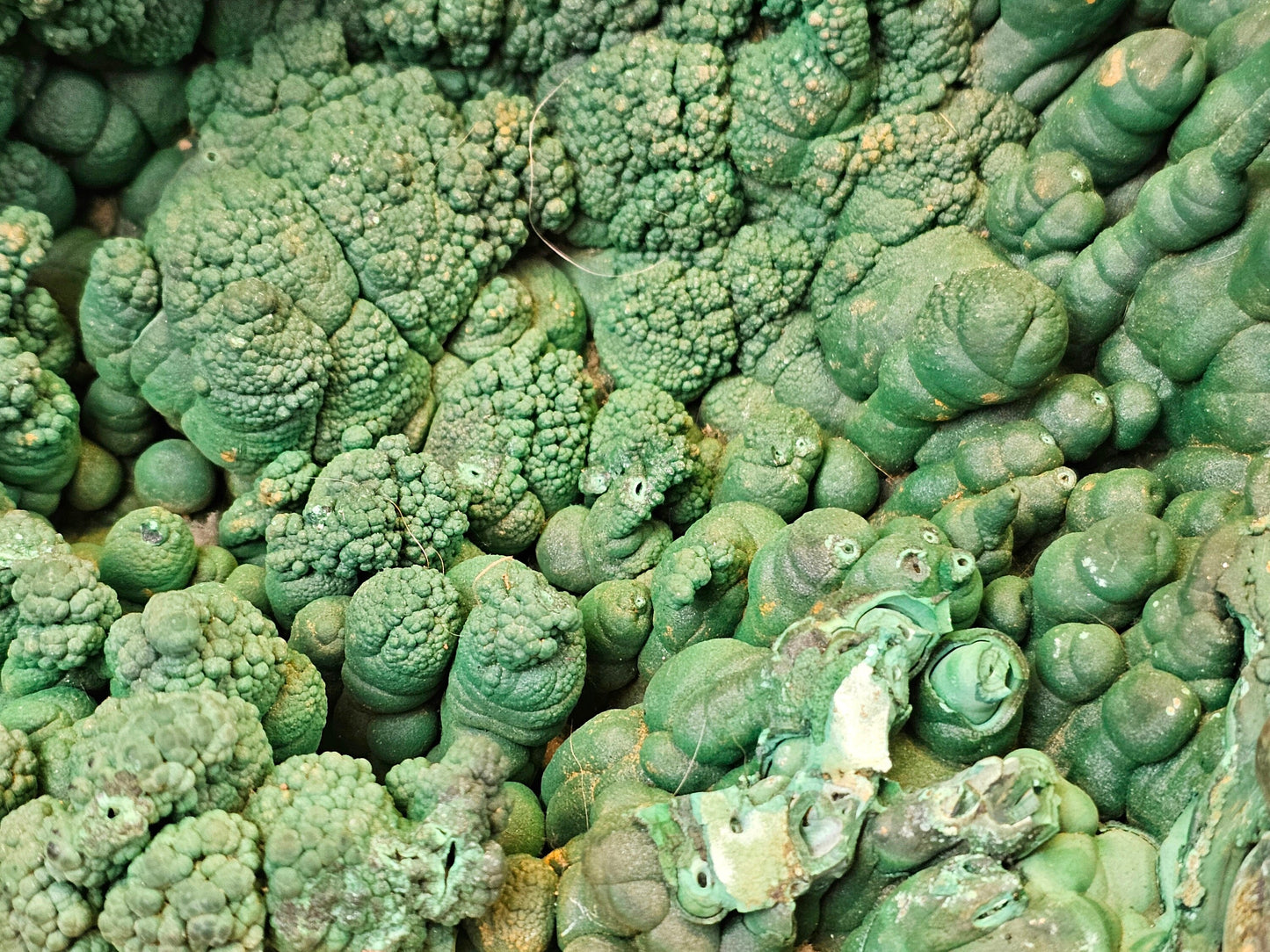 Very Large Malachite Stalactite Crystal Geode