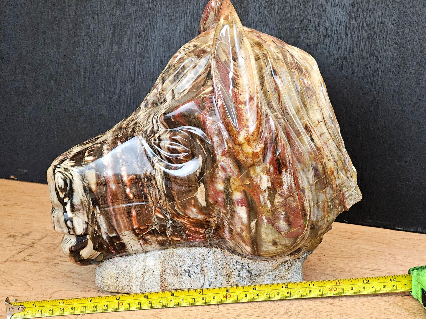 Large Horse Head Fossil Wood Carving
