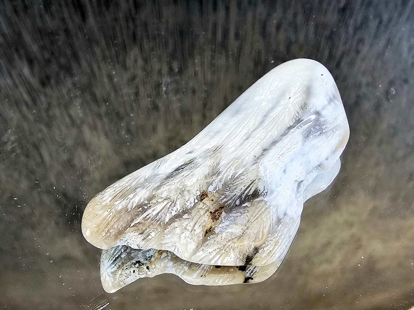 Rare Agate Coral Crystal Fossil Cabochon - UK (#8)