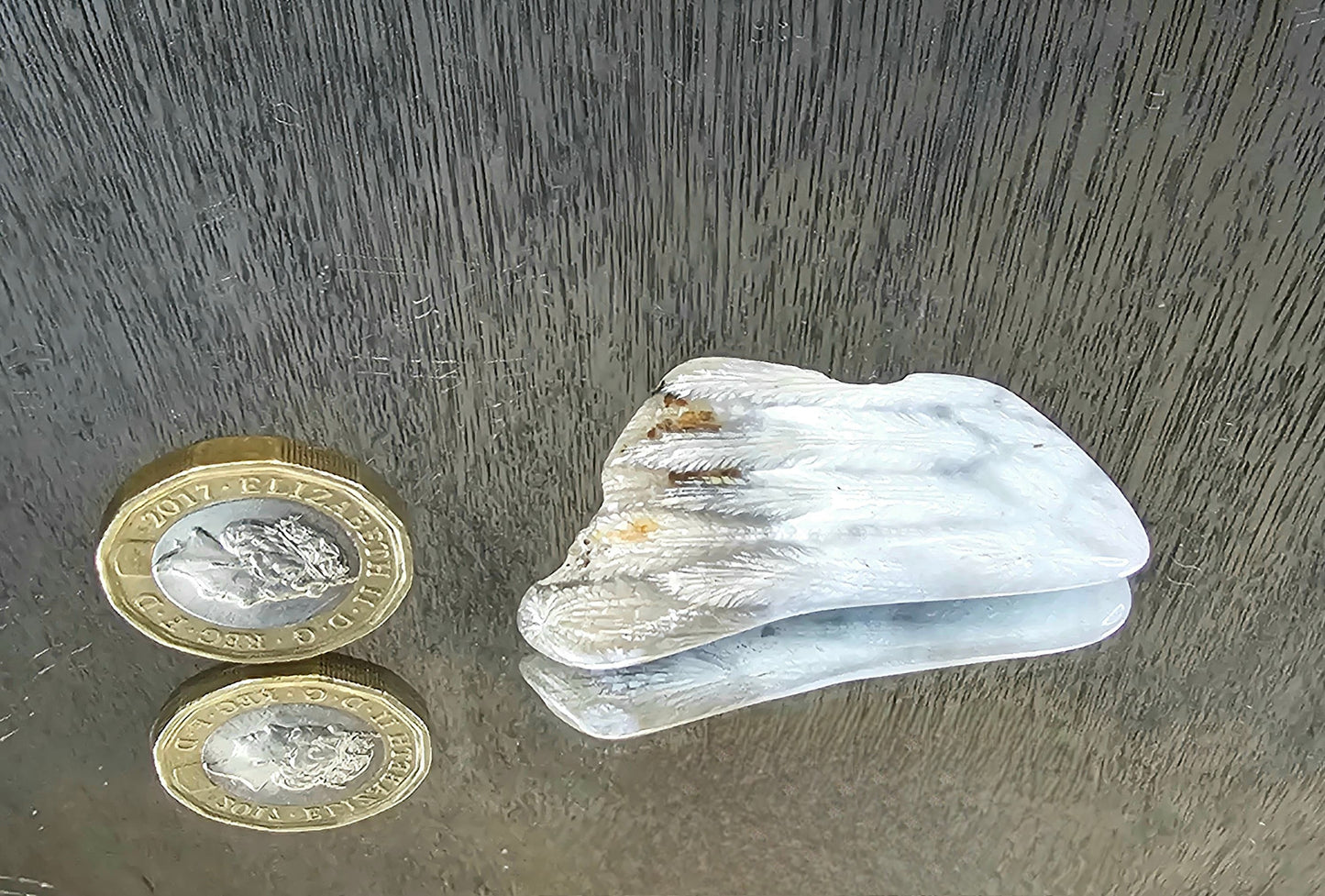 Rare Agate Coral Crystal Fossil Cabochon - UK (#8)