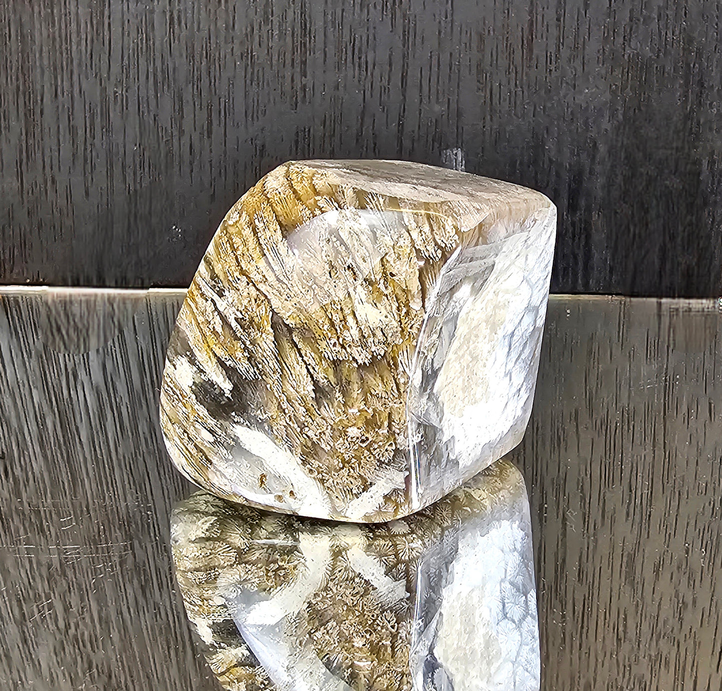 Rare Agate Coral Crystal Fossil - UK (#6)