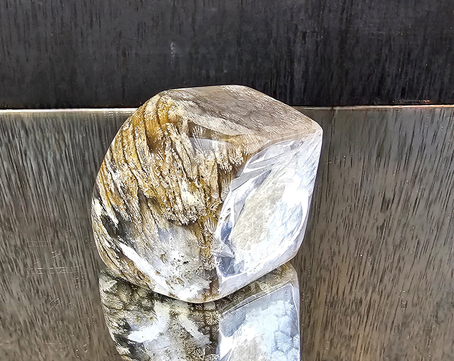 Rare Agate Coral Crystal Fossil - UK (#6)