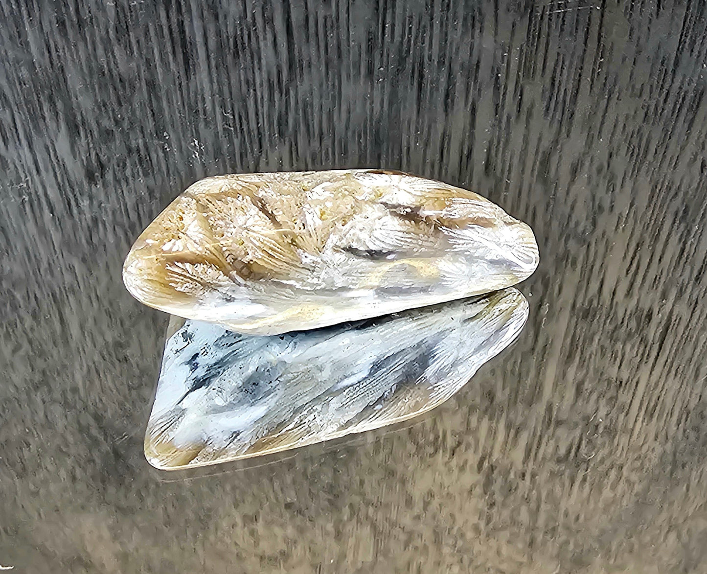 Rare Agate Coral Crystal Fossil - UK (#7)