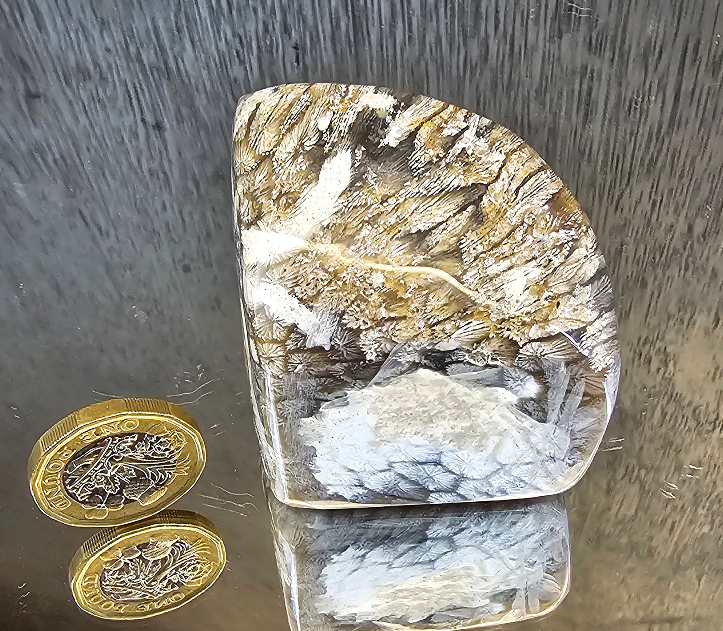 Rare Agate Coral Crystal Fossil - UK (#6)