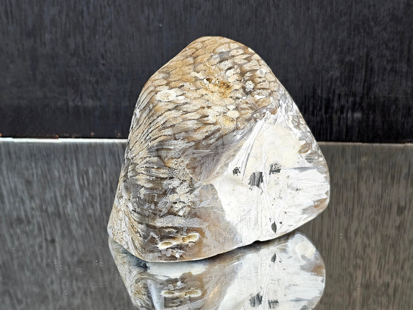 Rare Agate Coral Crystal Fossil - UK   (#4)