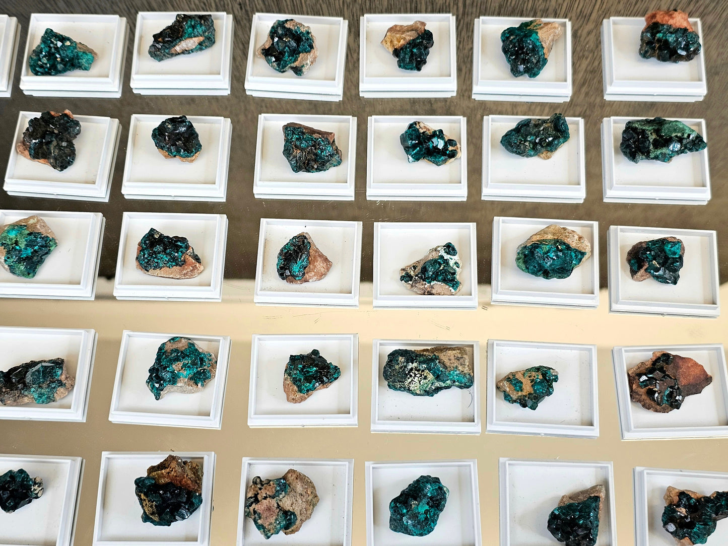 Small Dioptase Crystal In Display Case