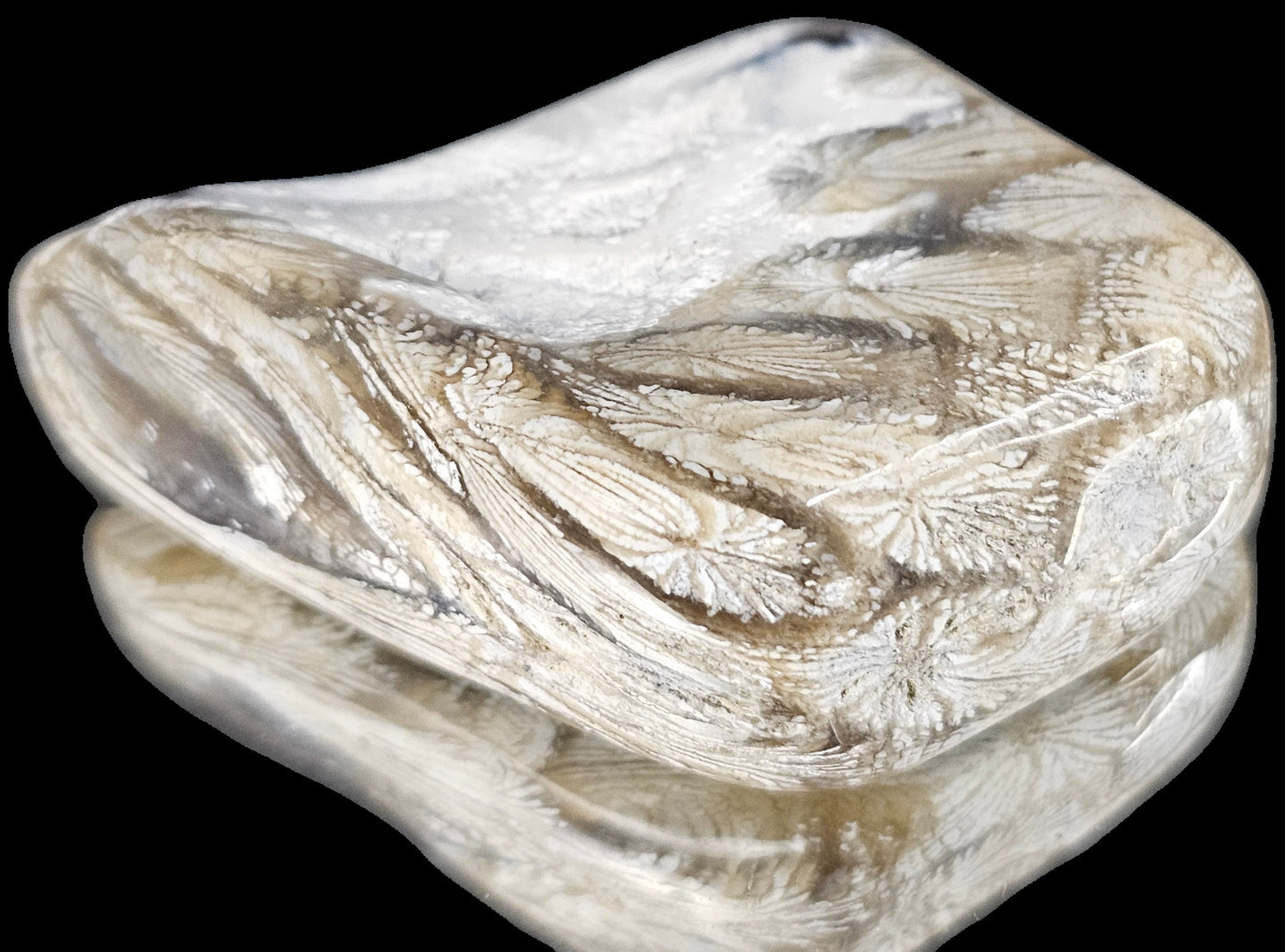 Rare Agate Coral Crystal Fossil - UK Tumblestone  (#17)