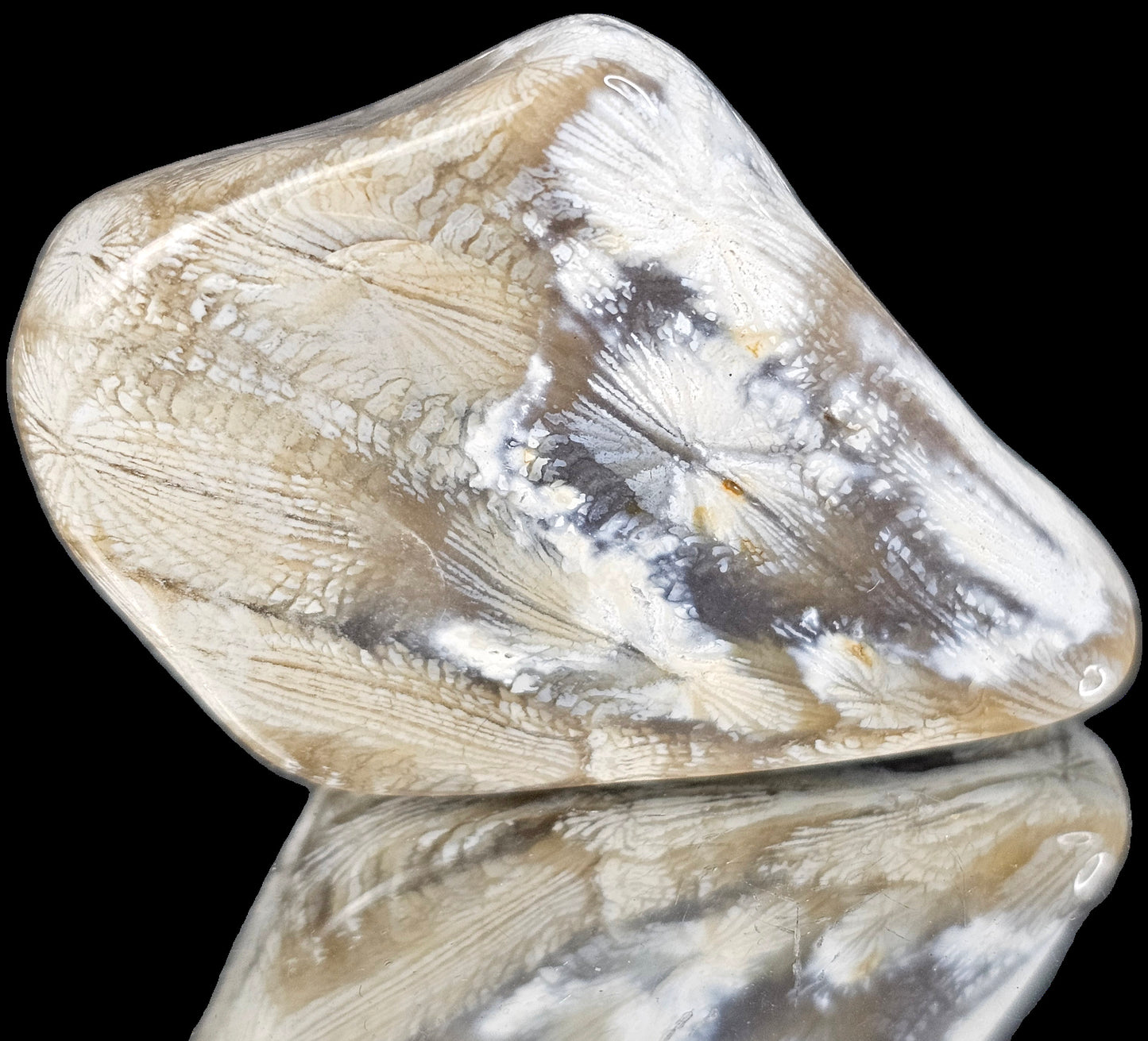 Rare Agate Coral Crystal Fossil - UK Tumblestone  (#17)