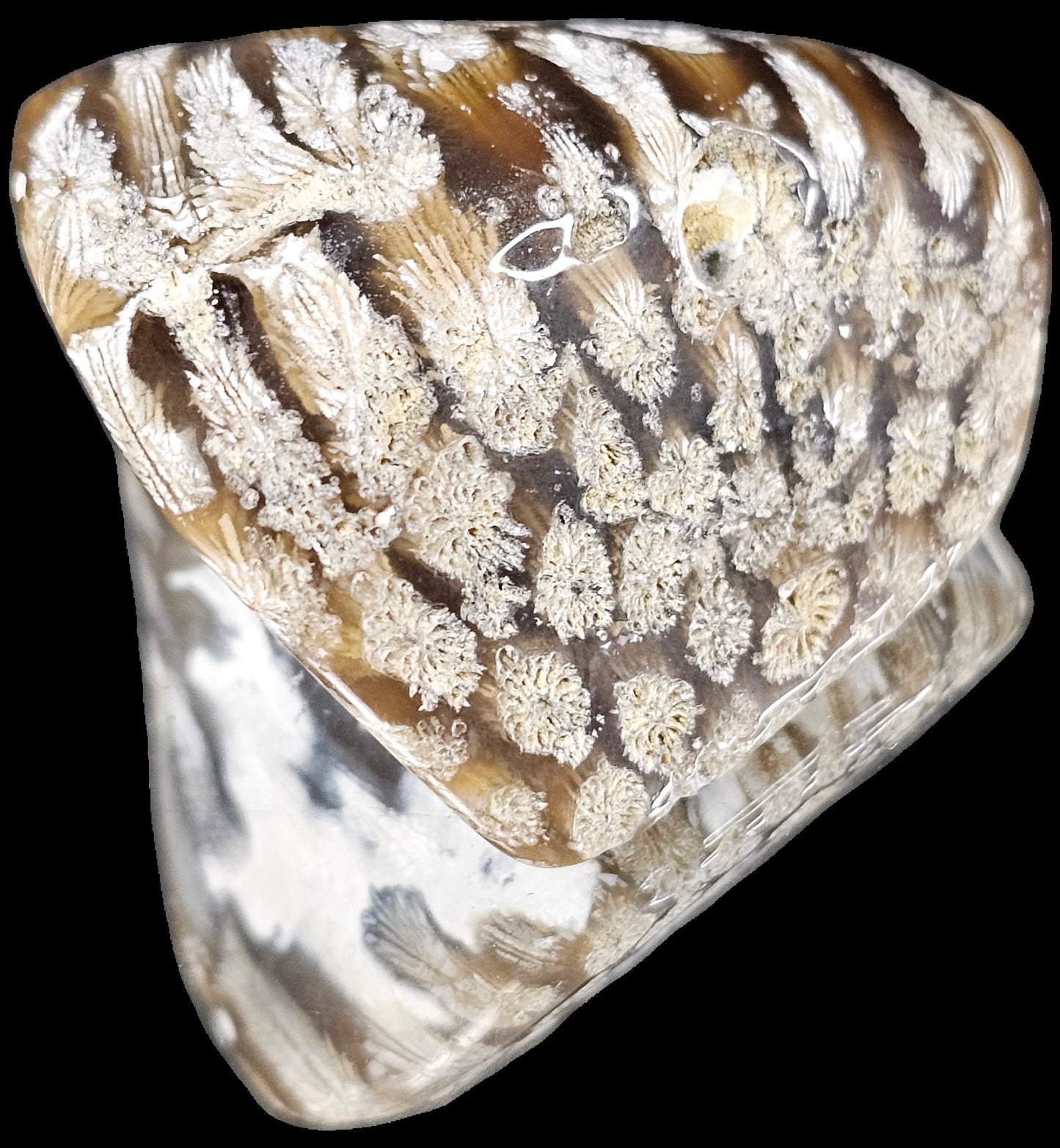 Rare Agate Coral Crystal Fossil - UK tumblestone  (#19)