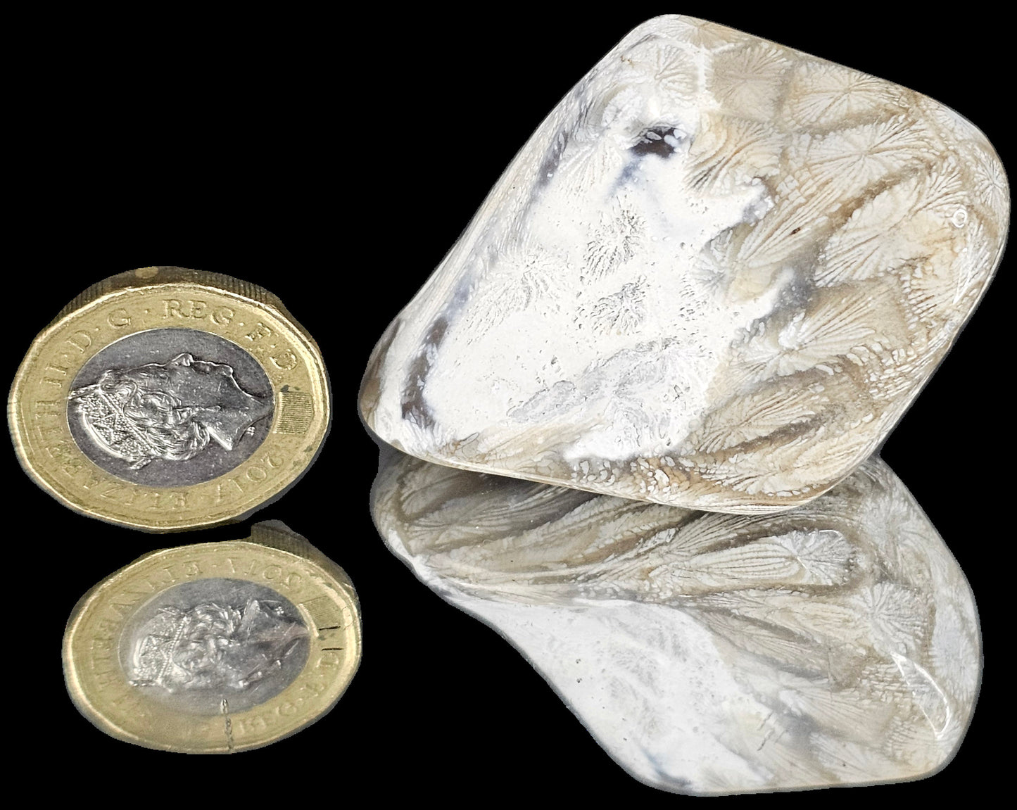 Rare Agate Coral Crystal Fossil - UK Tumblestone  (#17)