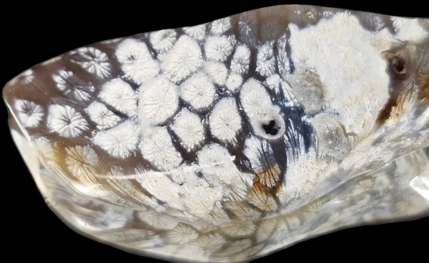 Rare Agate Coral Crystal Fossil - UK Tumblestone  (#14)