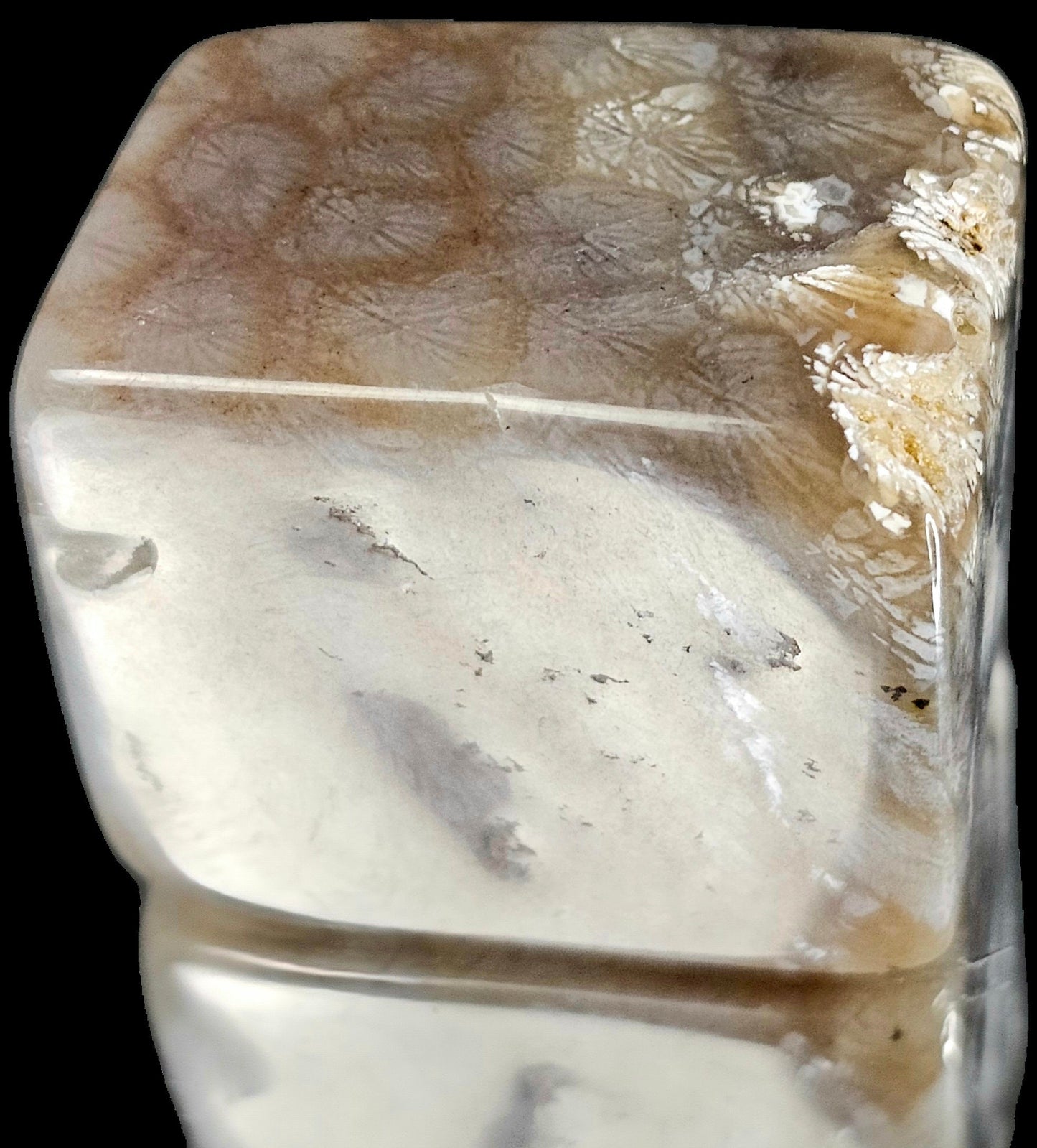Rare Agate Coral Crystal Fossil - UK Tumblestone  (#15)