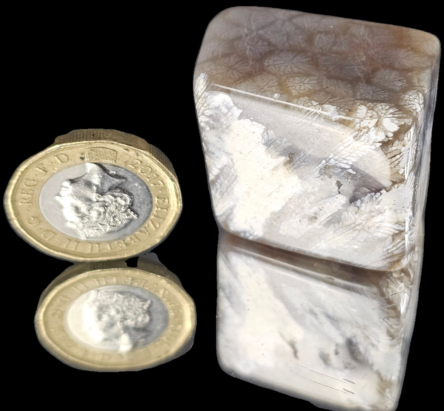 Rare Agate Coral Crystal Fossil - UK Tumblestone  (#15)