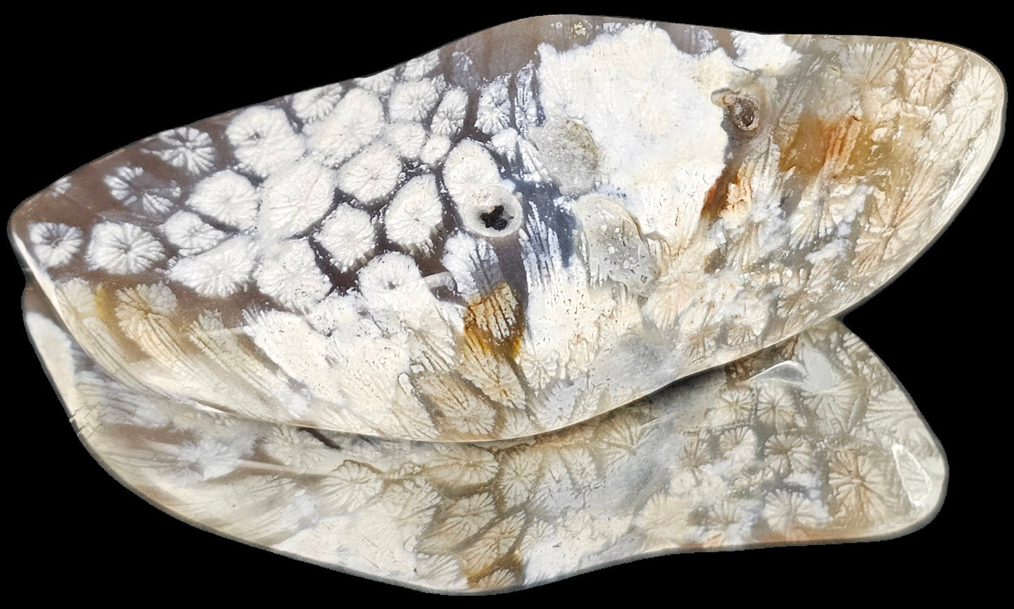 Rare Agate Coral Crystal Fossil - UK Tumblestone  (#14)