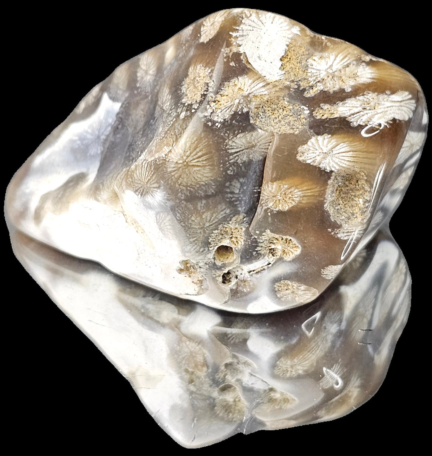 Rare Agate Coral Crystal Fossil - UK Tumblestone  (#14)