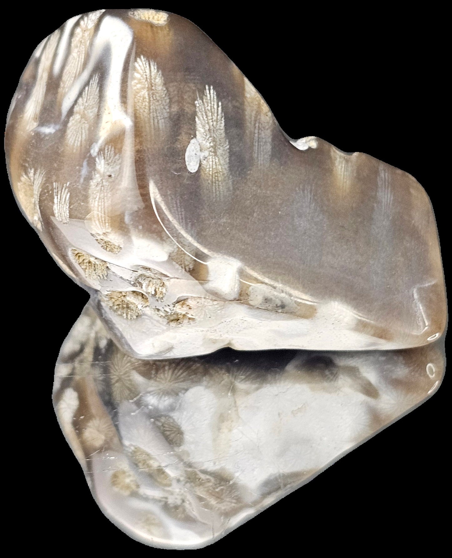 Rare Agate Coral Crystal Fossil - UK Tumblestone  (#14)