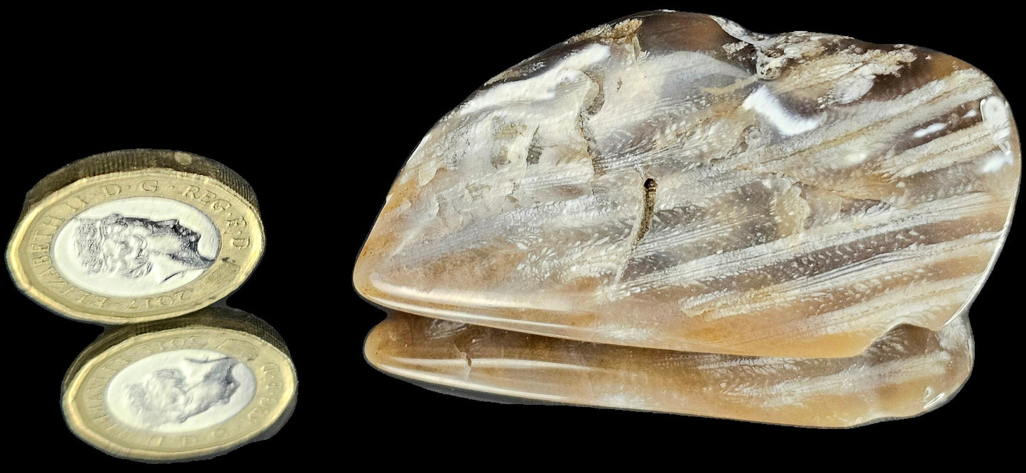 Rare Agate Coral Crystal Fossil - UK Tumblestone  (#13)