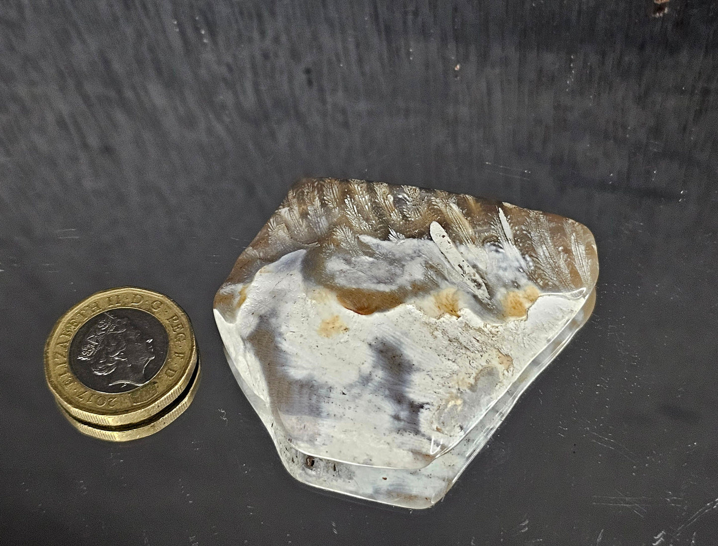 Rare Agate Coral Crystal Fossil - UK   (#12)
