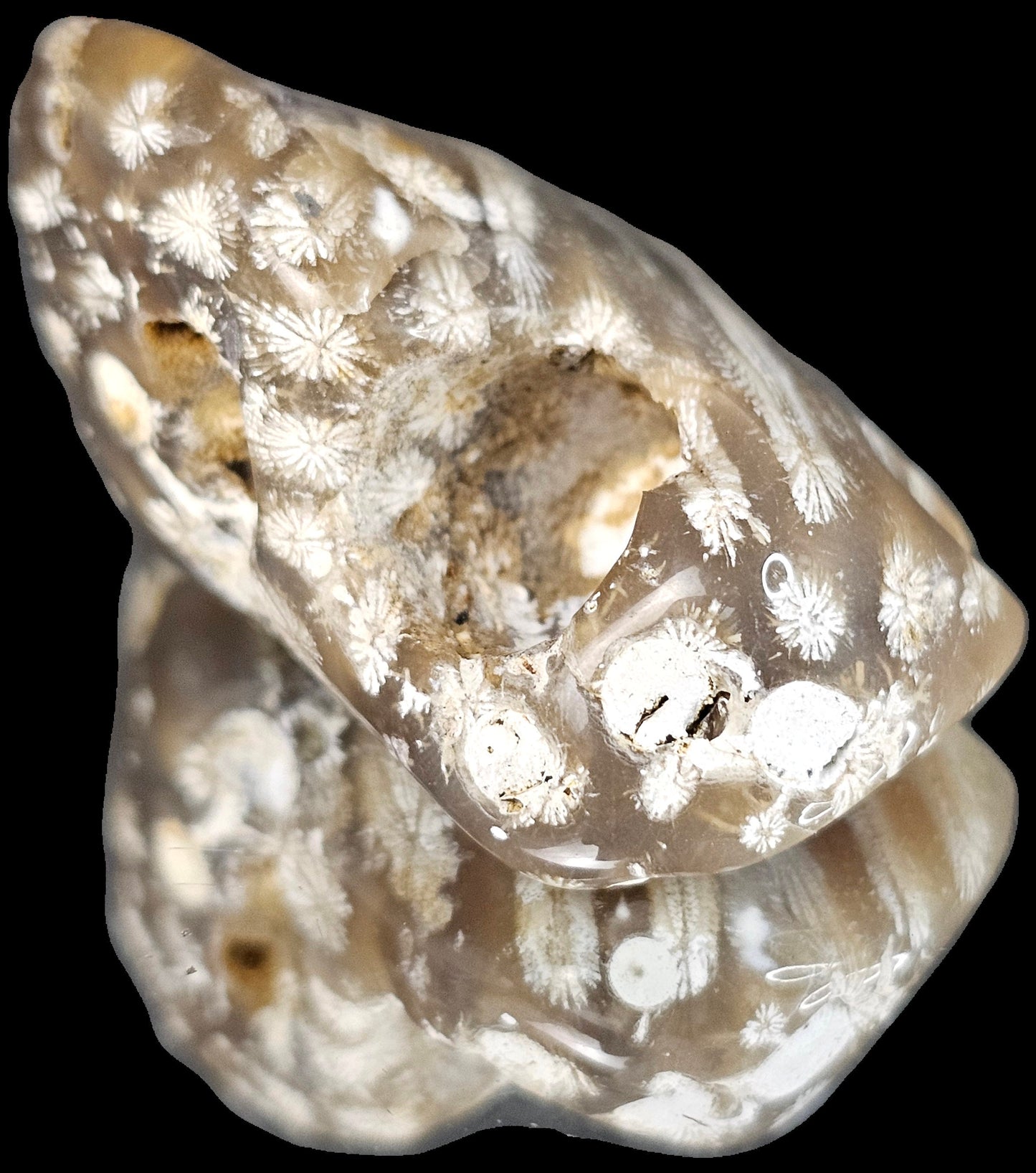 Rare Agate Coral Crystal Fossil - UK Tumblestone  (#13)