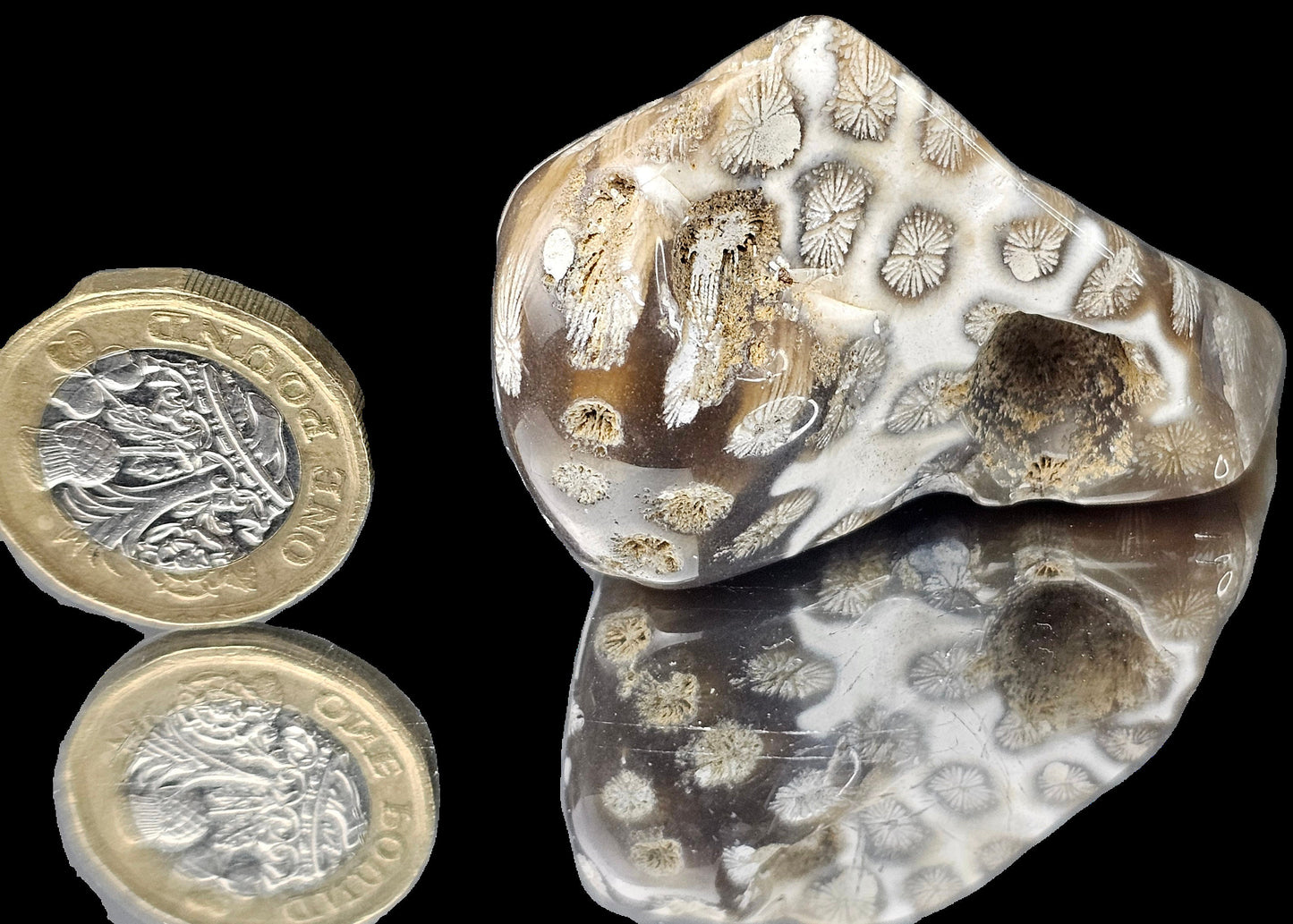 Rare Agate Coral Crystal Fossil - UK Tumblestone  (#14)