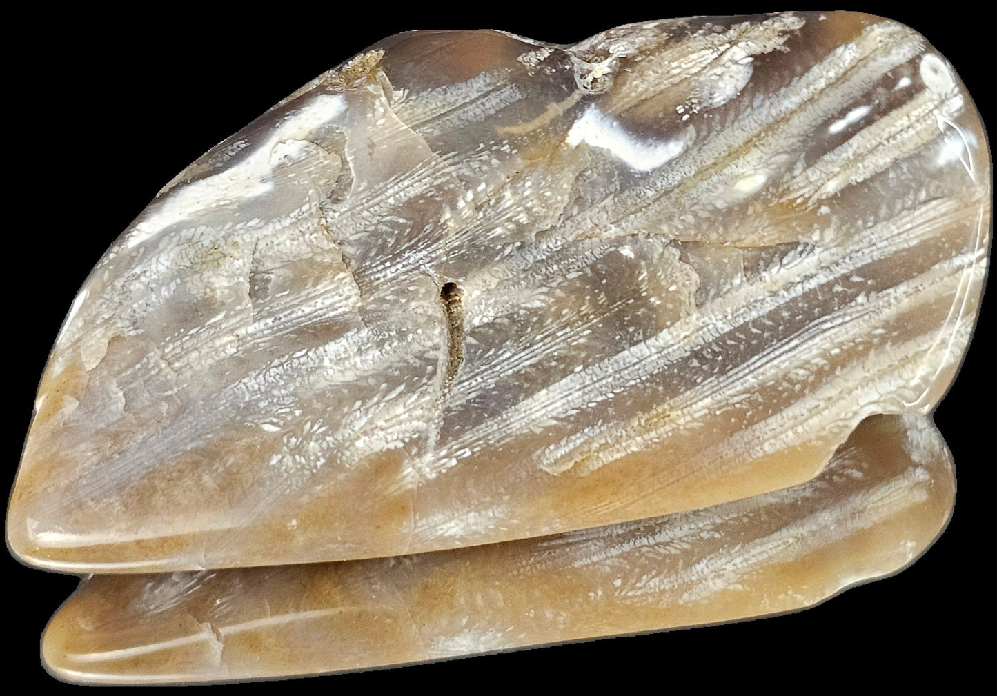 Rare Agate Coral Crystal Fossil - UK Tumblestone  (#13)