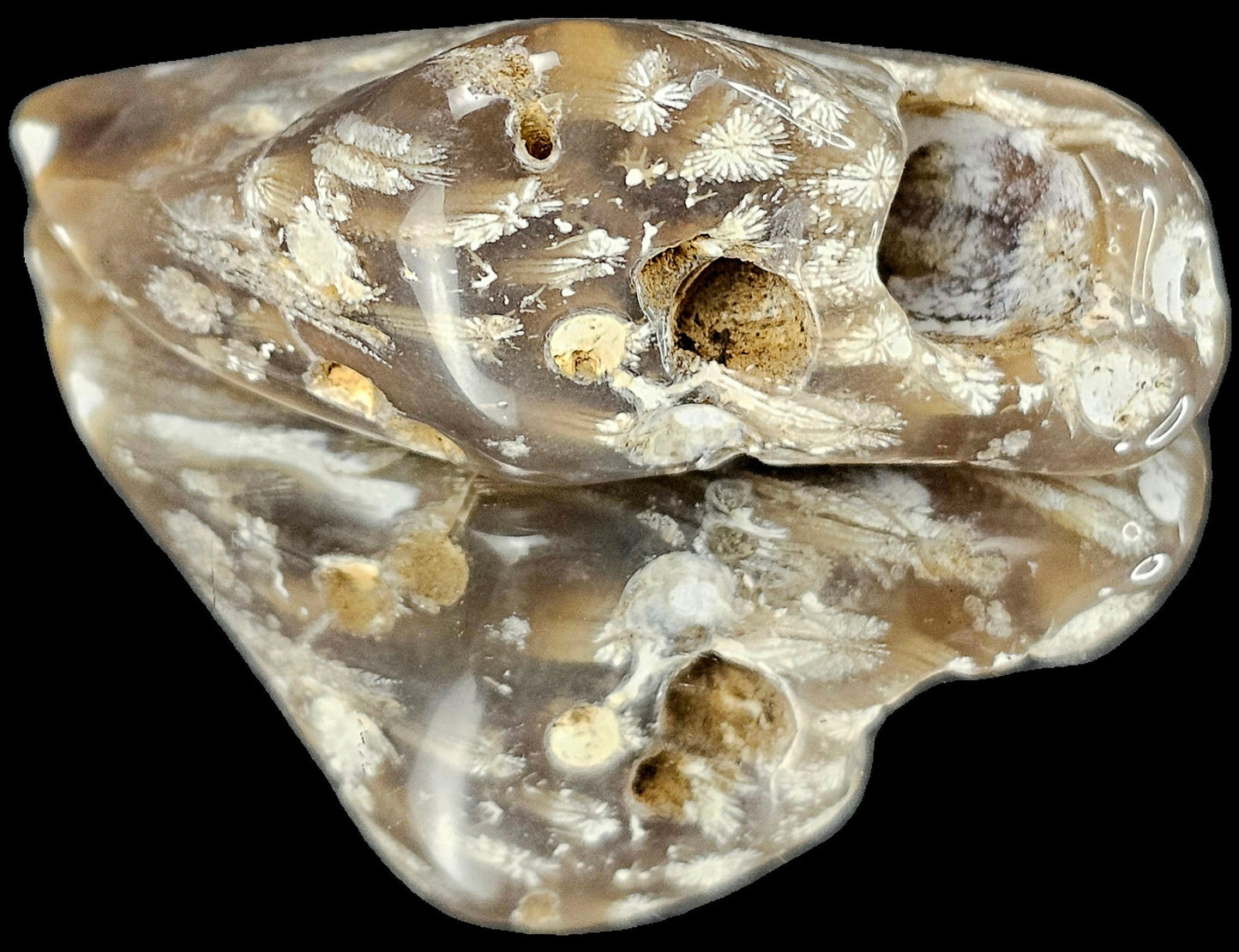 Rare Agate Coral Crystal Fossil - UK Tumblestone  (#13)