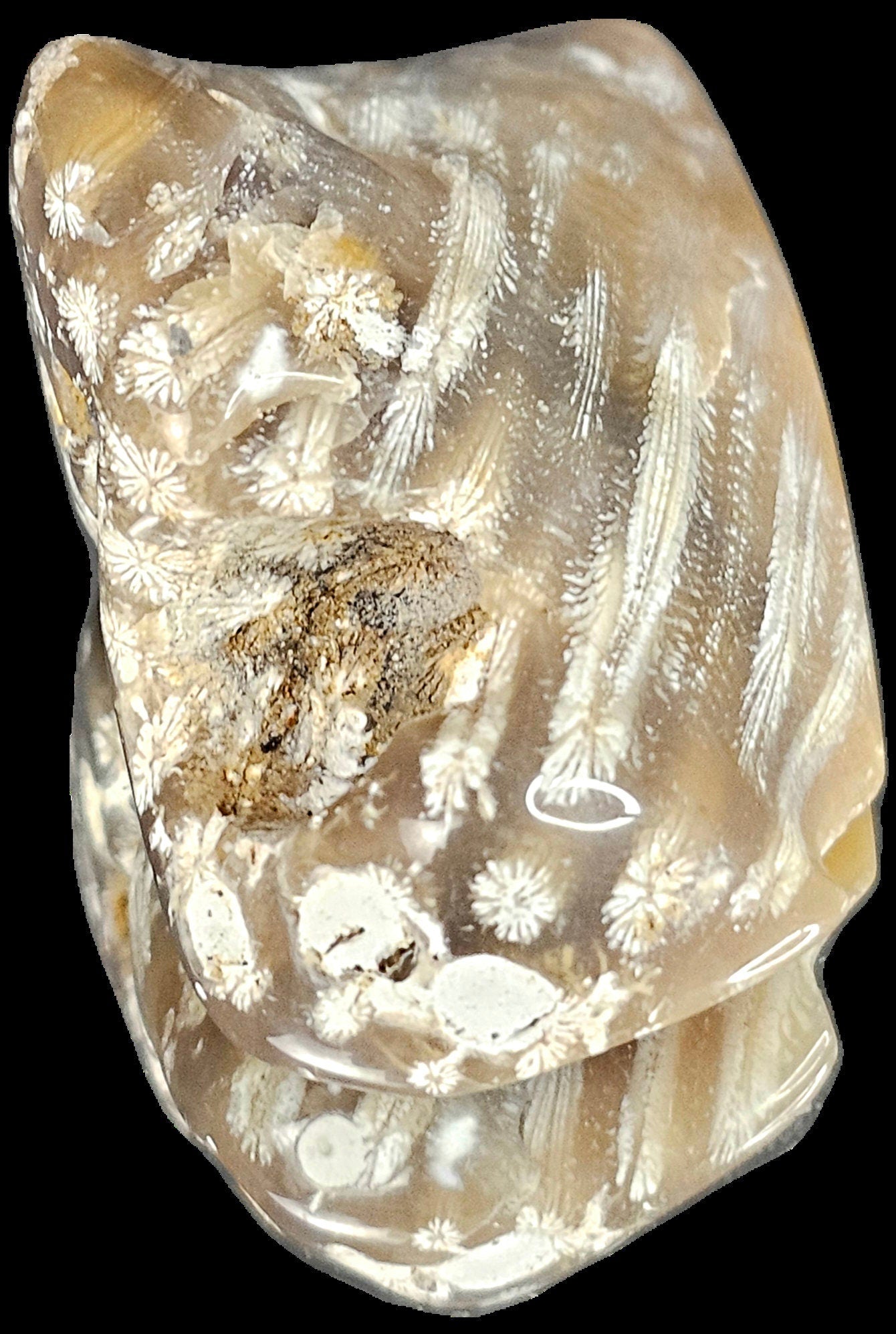 Rare Agate Coral Crystal Fossil - UK Tumblestone  (#13)