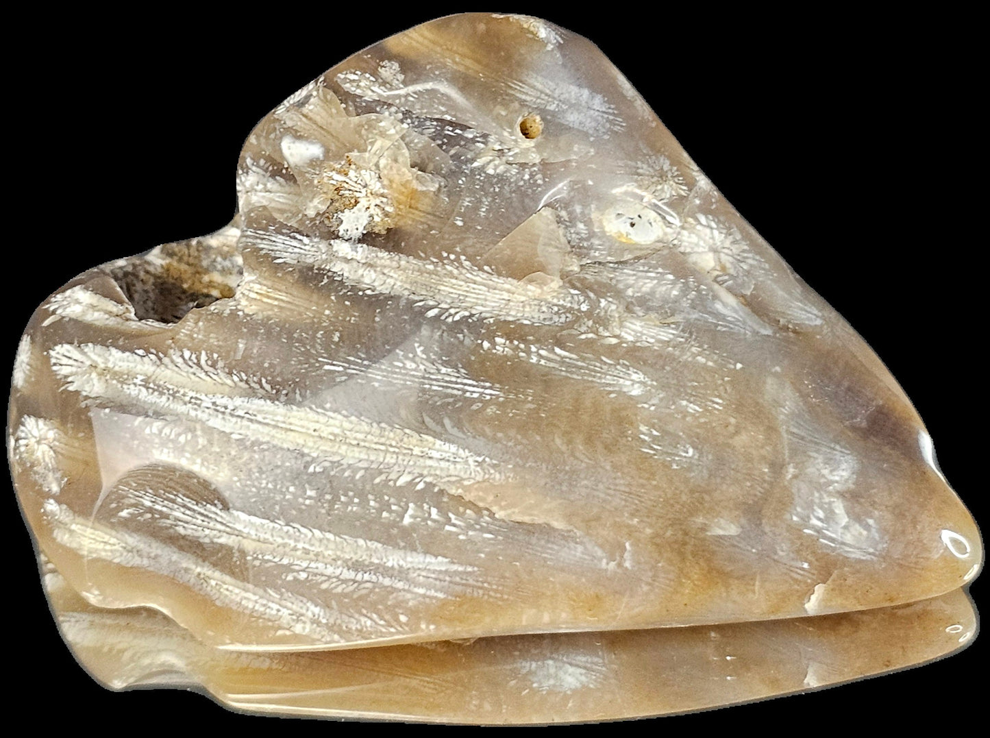 Rare Agate Coral Crystal Fossil - UK Tumblestone  (#13)